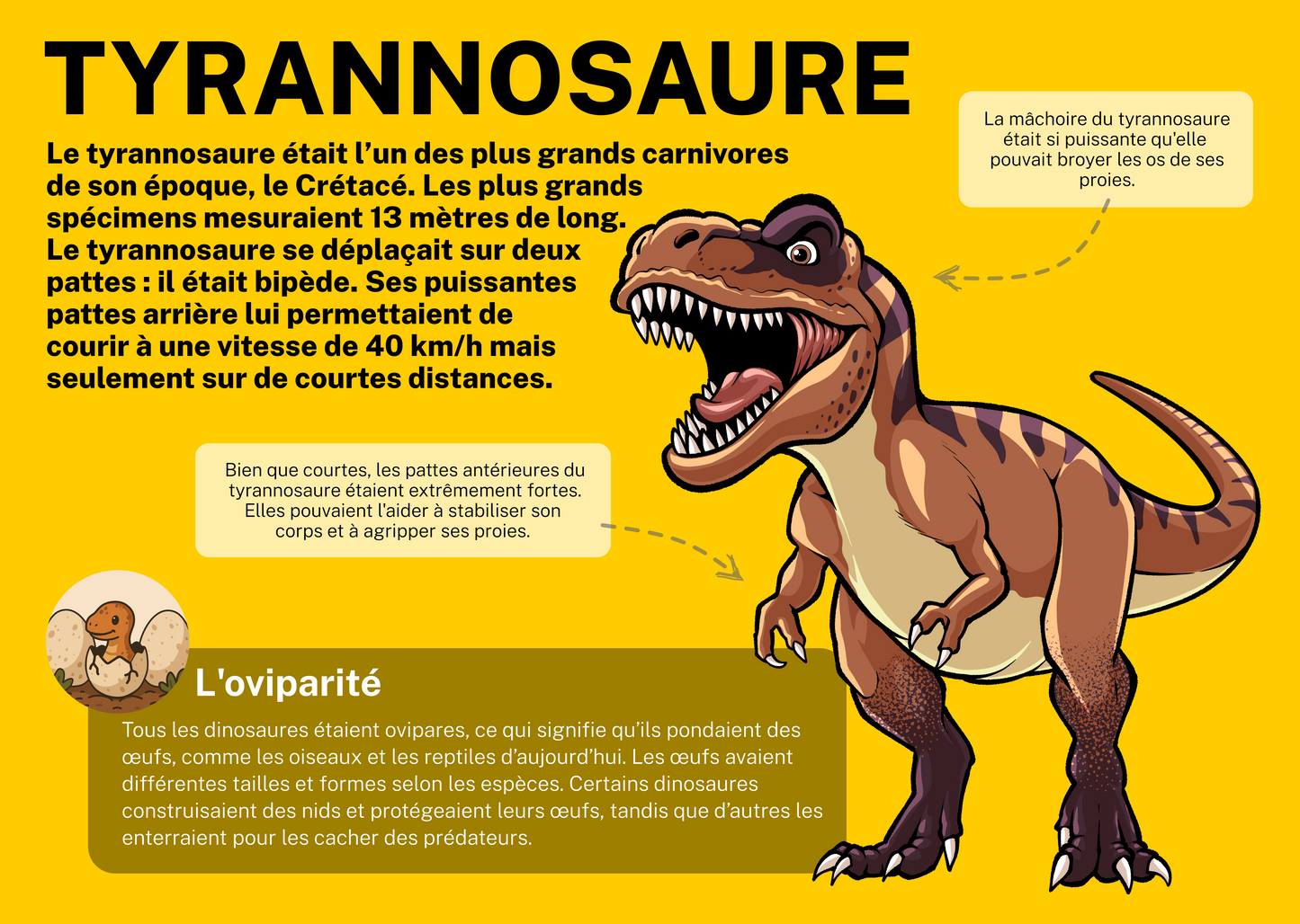 Tyrannosaure