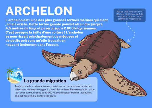 Archelon