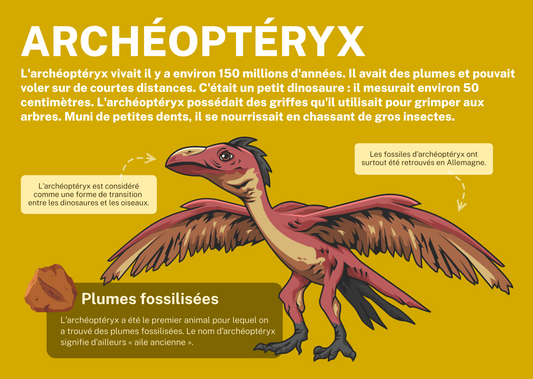 Archéoptéryx
