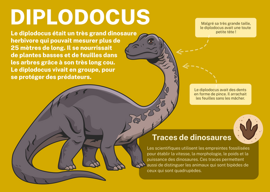 Diplodocus