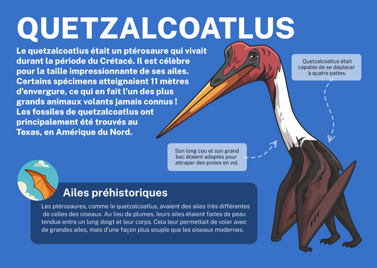 Quetzalcoatlus