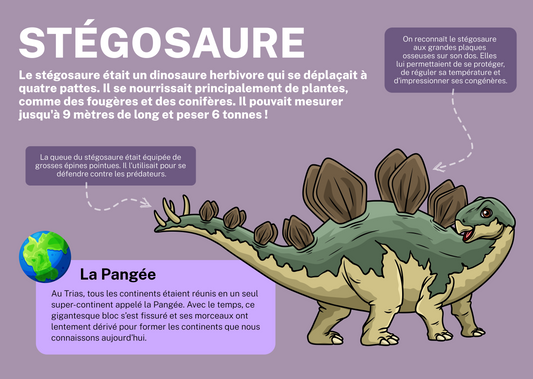 Stégosaure